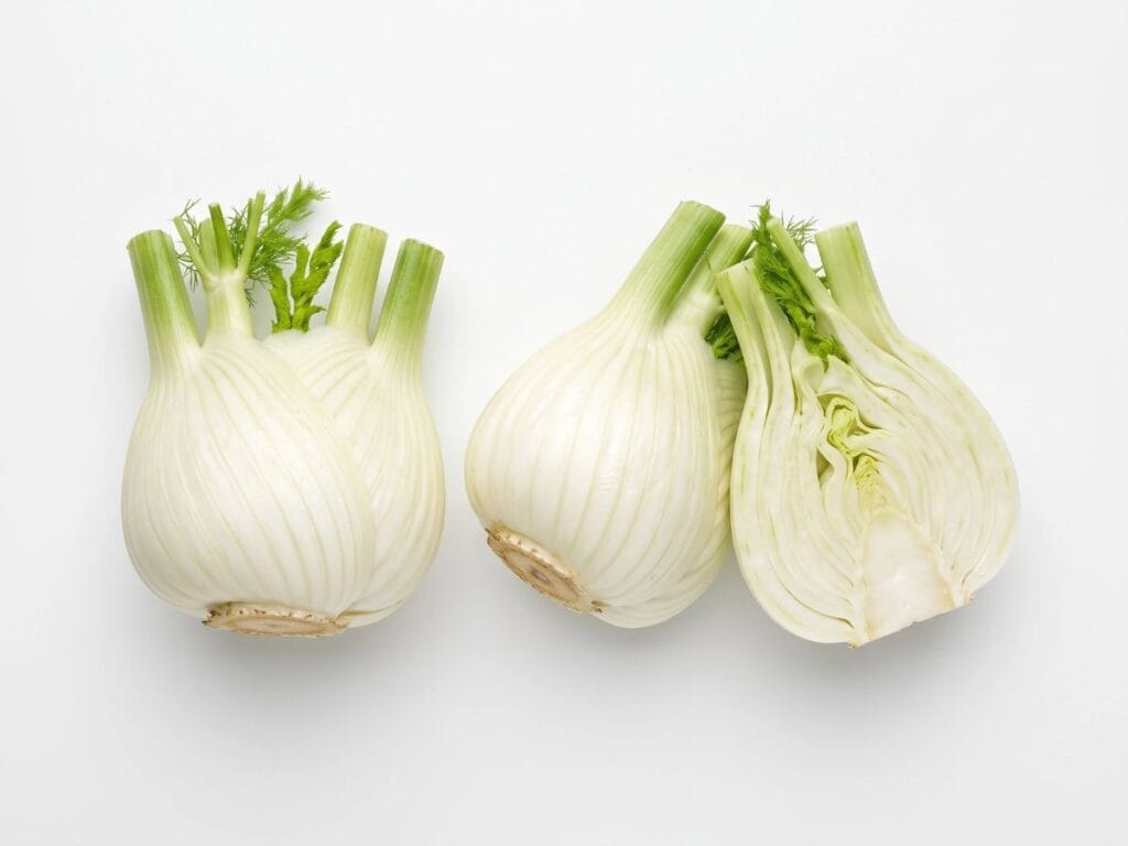 Finocchi
