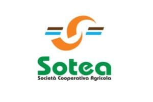 Logo Sotea