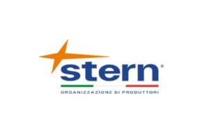 Logo Stern